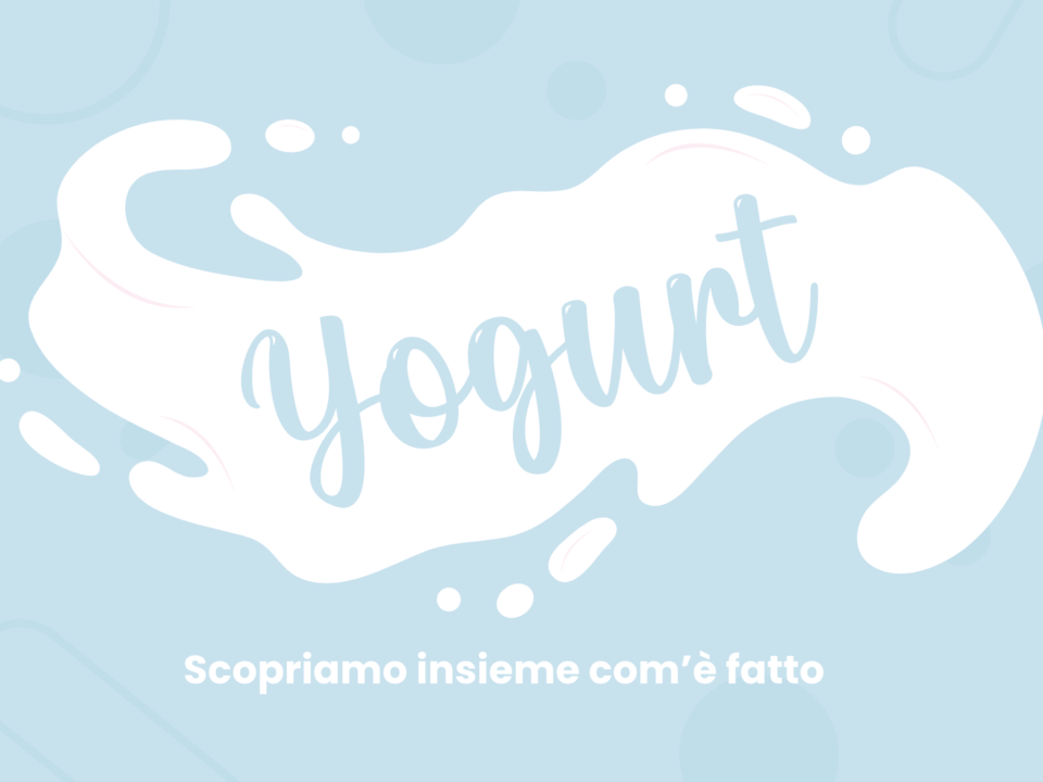 Lo Yogurt: Cos'è, Com'è Fatto e i Benefici per l'Organismo | Ingredients - Sacco System