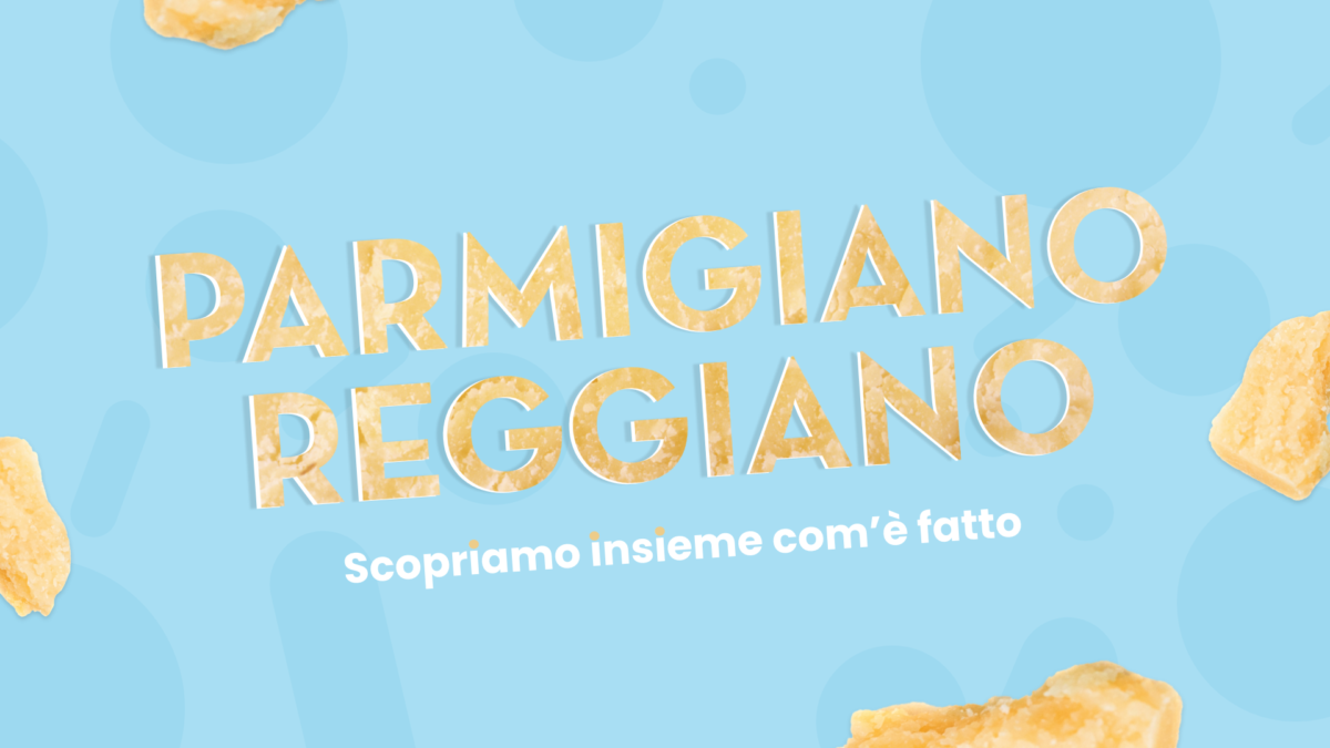 Parmigiano Reggiano: Cos'è, Valori Nutrizionali, Ricette | Ingredients - Sacco System