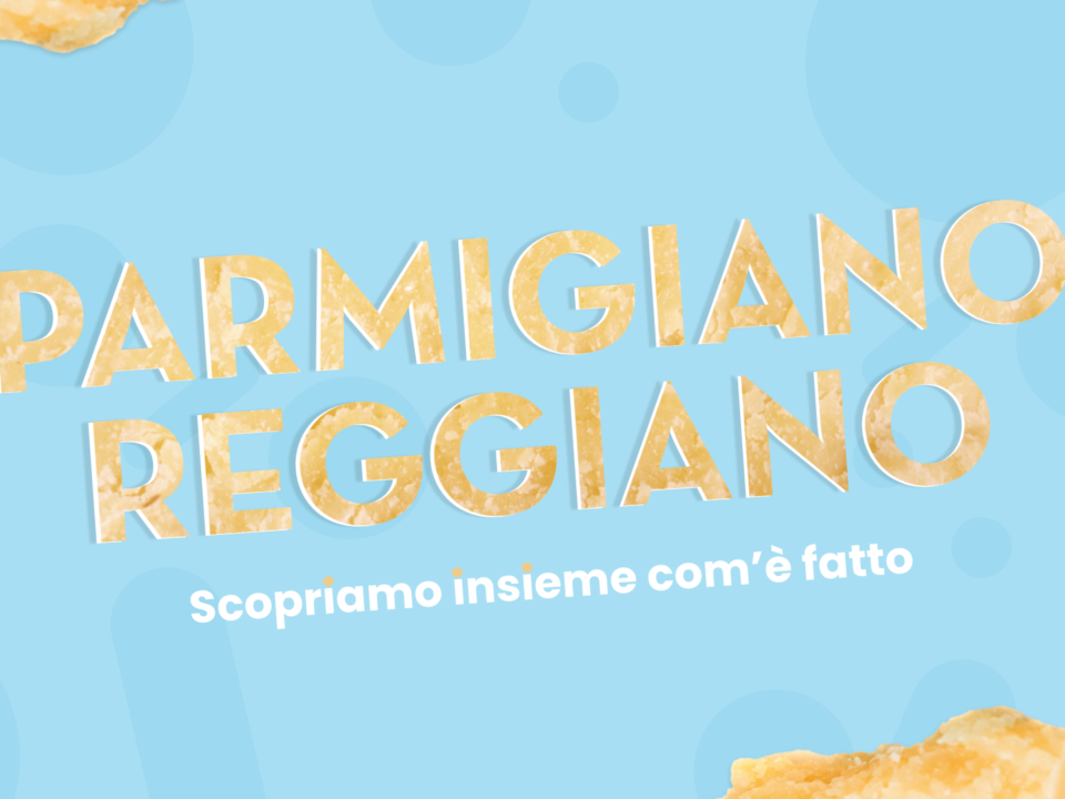 Parmigiano Reggiano: Cos'è, Valori Nutrizionali, Ricette | Ingredients - Sacco System