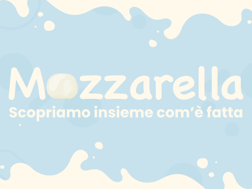 Mozzarella com'è fatta, origini, valori nutrizionali, come consumare e conservare