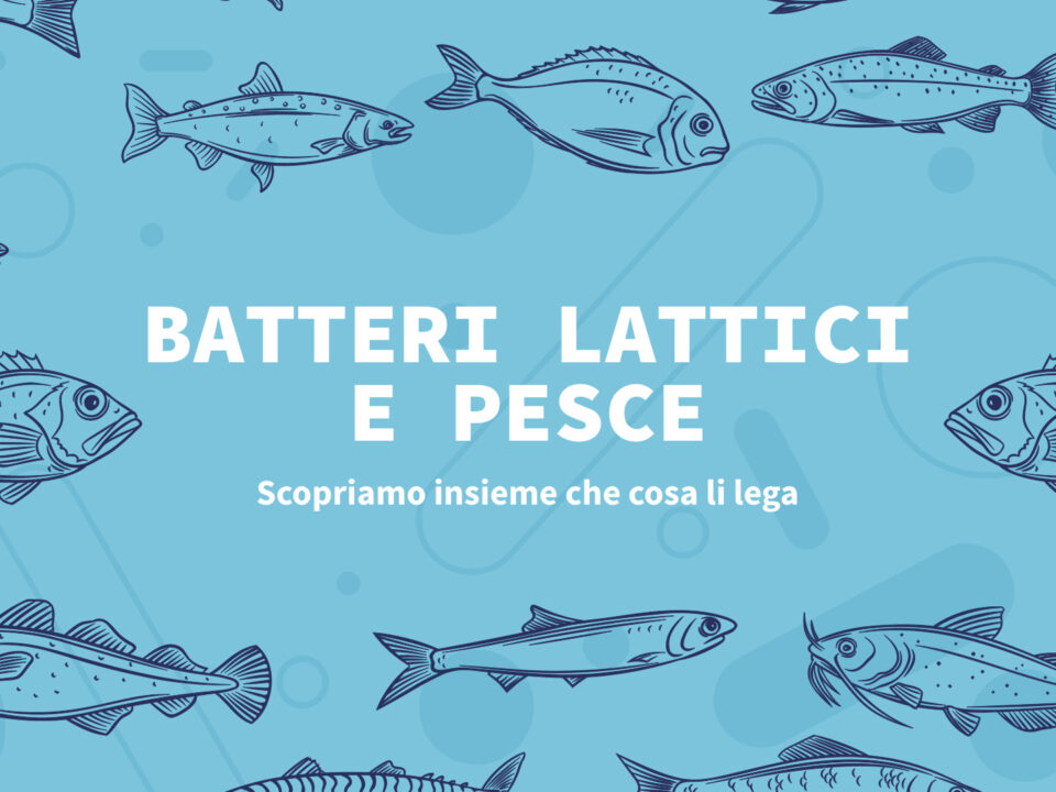 batteri lattici protezione pesce crudo listeriosi