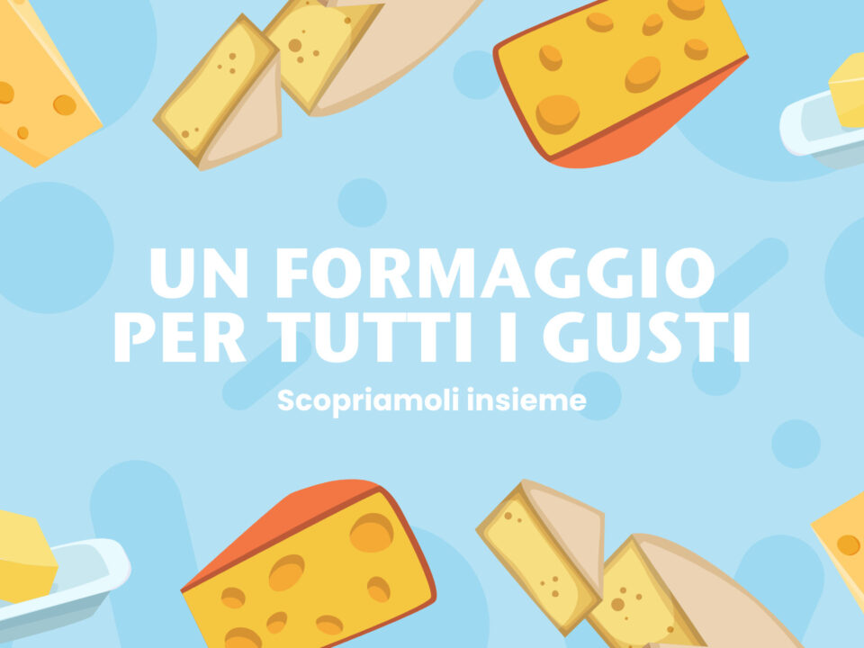 formaggi per tutti i gusti: da cosa deriva il sapore dei formaggi