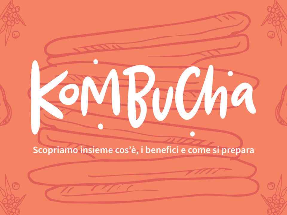 kombucha: cos'è benefici come prepararlo