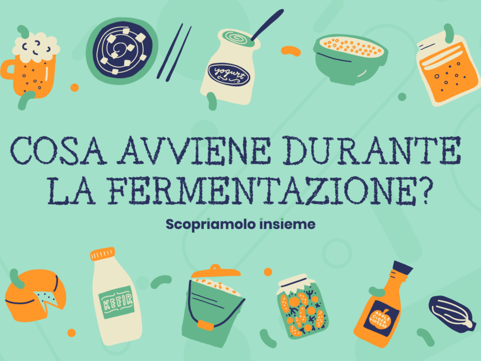 fermentazione: cos'è, quali tipologie e i latti fermentati (Kefir)