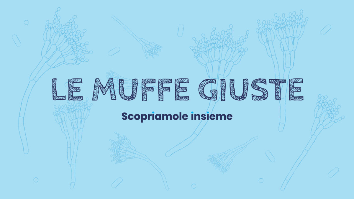 Muffe e batteri per la produzione dei formaggi