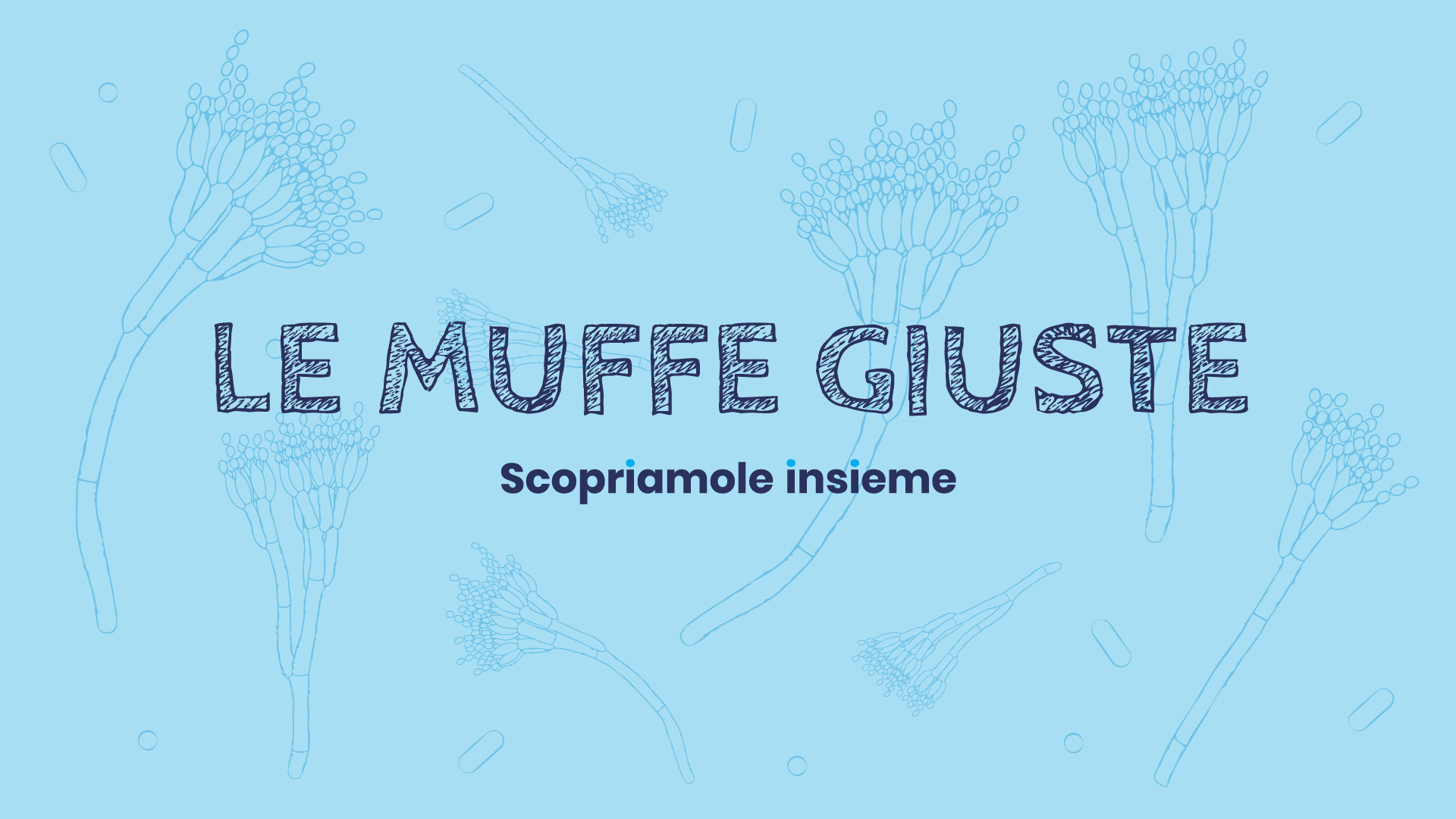 Muffe e batteri per la produzione dei formaggi