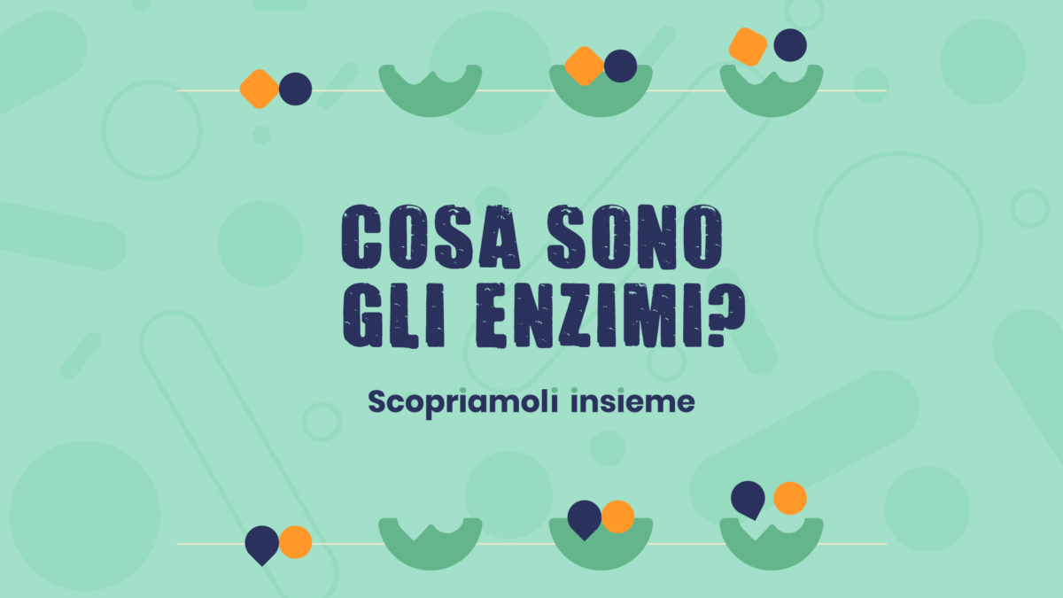 Enzimi: cosa sono e a cosa servono