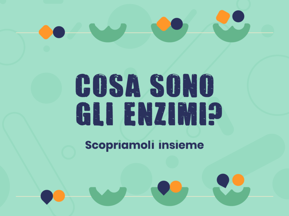 Enzimi: cosa sono e a cosa servono