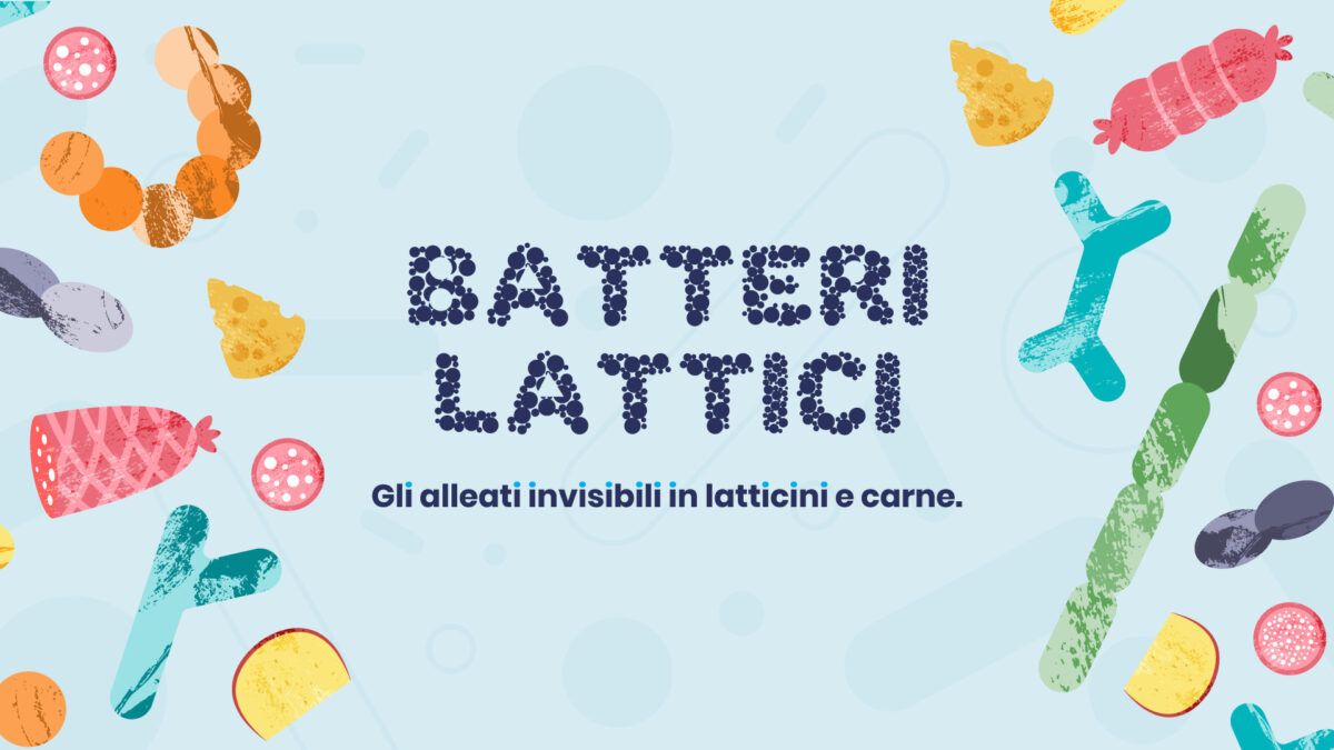 batteri attici nella carne perché fanno bene