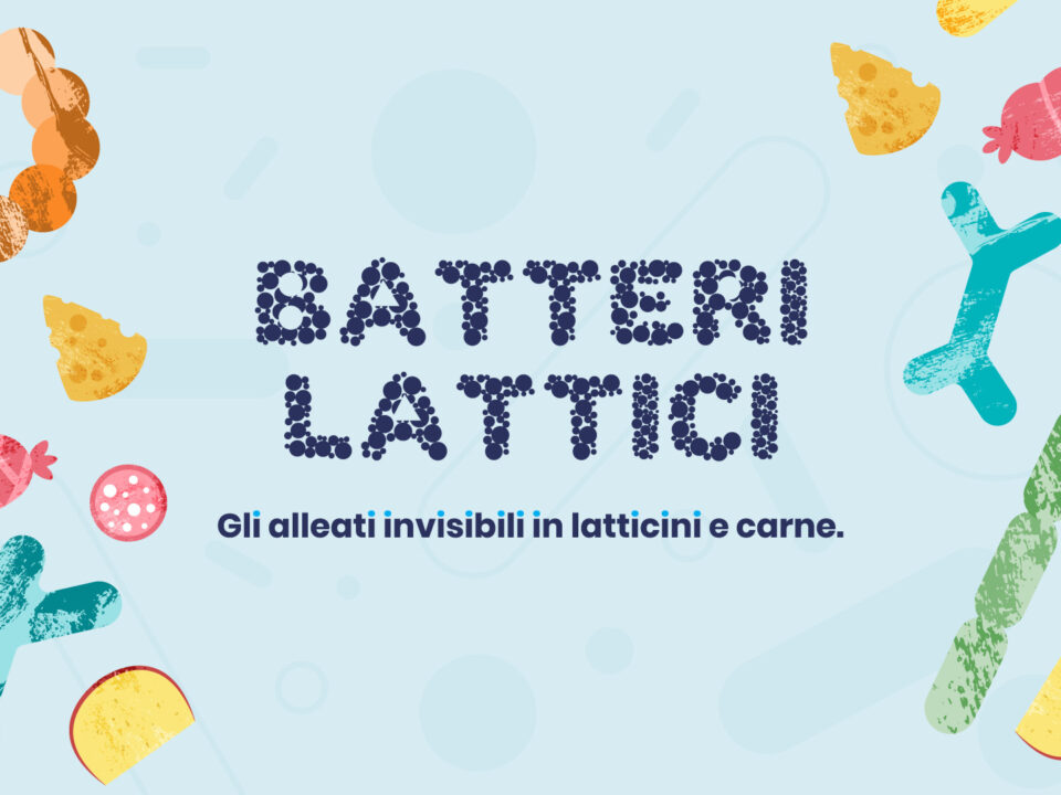 batteri attici nella carne perché fanno bene