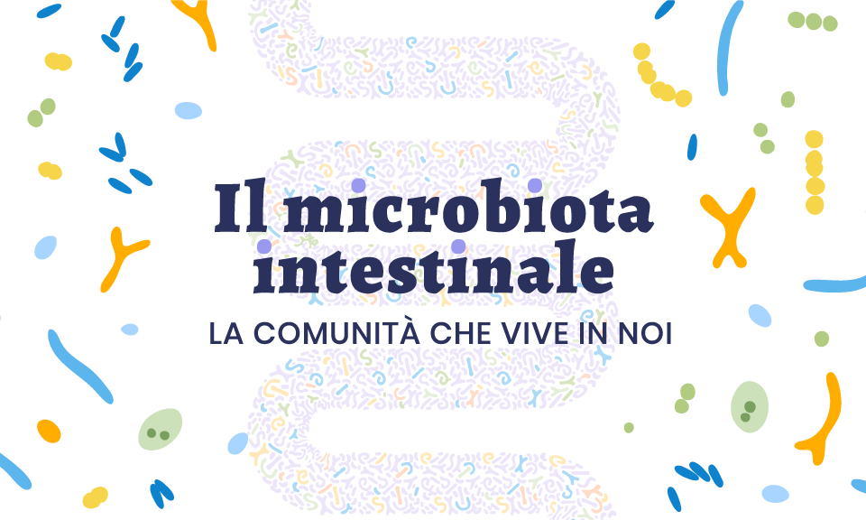 Cos'è, funzioni cura microbiota intestinale