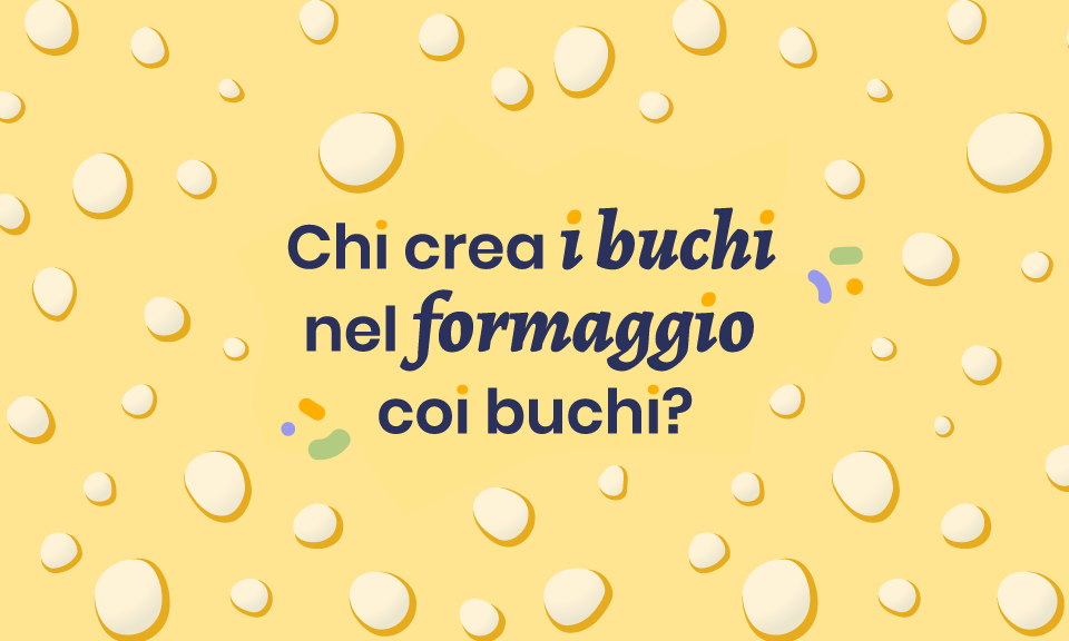 Come si formano i buchi nel formaggio coi buchi? occhiature