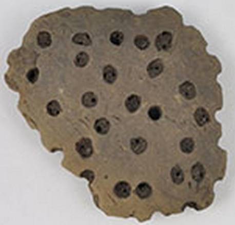 Cheese history: Polish sieves 7500 years ago traces of cheese