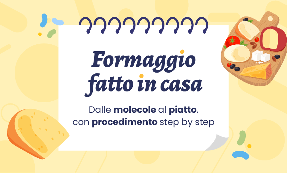 formaggio fatto in casa come farlo procedimento ricetta consigli