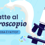 Il latte: composizione, tipologie, Berlo da adulti è naturale? Tutti i segreti del latte al microscopio!