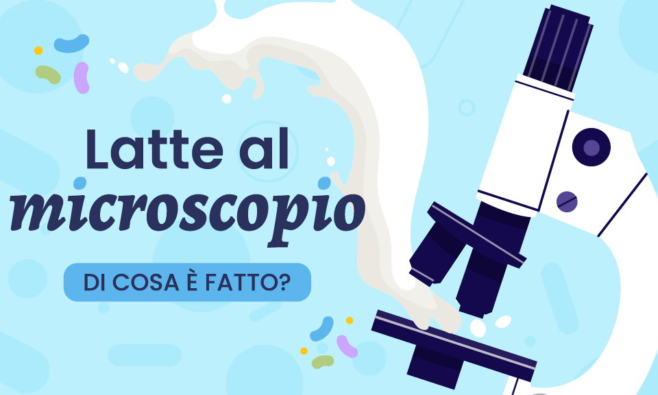 Il latte: composizione, tipologie, Berlo da adulti è naturale? Tutti i segreti del latte al microscopio!